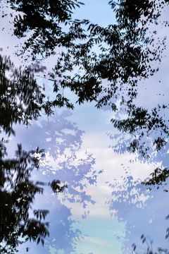 Yoshinori MIZUTANI (*1987, Japan): HDR_nature 017 – Christophe Guye Galerie