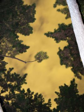 Yoshinori MIZUTANI (*1987, Japan): Moonlight 01 – Christophe Guye Galerie