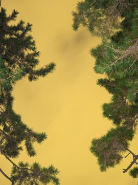 Yoshinori MIZUTANI (*1987, Japan): Moonlight 05 – Christophe Guye Galerie