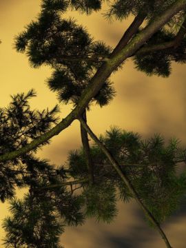 Yoshinori MIZUTANI (*1987, Japan): Moonlight 06 – Christophe Guye Galerie