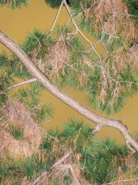 Yoshinori MIZUTANI (*1987, Japan): Moonlight 08 – Christophe Guye Galerie