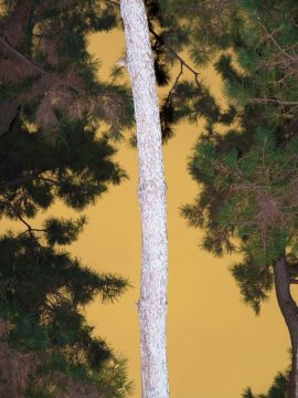 Yoshinori MIZUTANI (*1987, Japan): Moonlight 17 – Christophe Guye Galerie