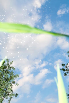 Yoshinori MIZUTANI (*1987, Japan): Yusurika 002 – Christophe Guye Galerie