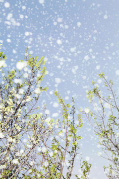 Yoshinori MIZUTANI (*1987, Japan): Yusurika 005 – Christophe Guye Galerie