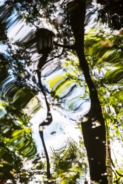 Yoshinori MIZUTANI (*1987, Japan): Yusurika 012 – Christophe Guye Galerie