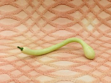 Heather RASMUSSEN (*1982, America) : Untitled (Squash on towel)  – Christophe Guye Galerie