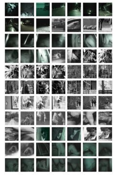 Lina HASHIM (*1978, Denmark / Iraq) : The Unlawful meetings  – Christophe Guye Galerie