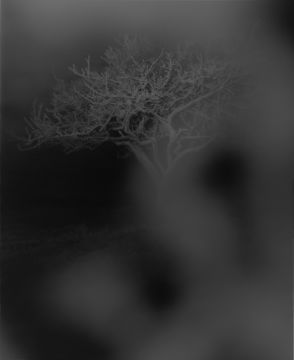 Kazuna TAGUCHI (*1979, Japan) : it is as it is  – Christophe Guye Galerie