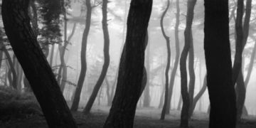 BAE Bien-U (*1950, South Korea): SNM5a-003h – Christophe Guye Galerie