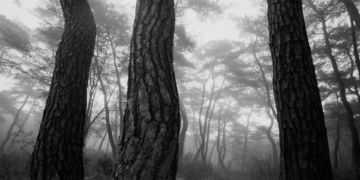 BAE Bien-U (*1950, South Korea): SNM1a-112h – Christophe Guye Galerie