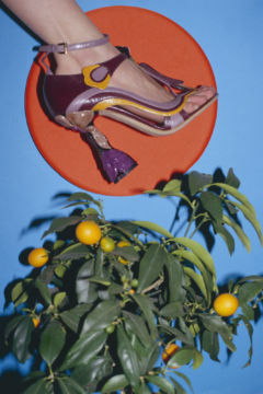 Walter PFEIFFER (*1946, Switzerland): Untitled – Christophe Guye Galerie