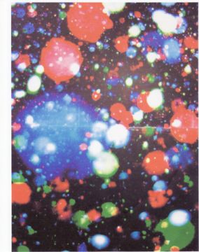 Linus BILL (*1982, Switzerland):  Der Anfang ist Schwer – Christophe Guye Galerie