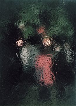 Stephen GILL (*1971, Great Britain): Untitled, from the series 'Coexistence' – Christophe Guye Galerie