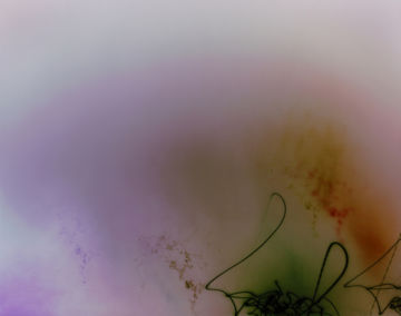 Nanna HÄNNINEN (*1973, Finnland): New Graffiti #2 (Churchyard) – Christophe Guye Galerie