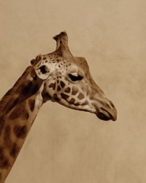 Paul KOOIKER (*1964, The Netherlands) : A01, from 'Nude Animal Cigar' – Christophe Guye Galerie