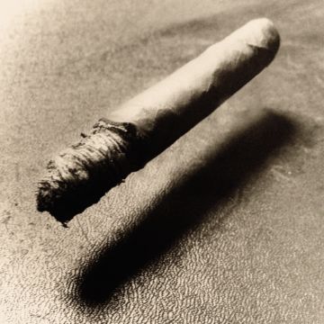 Paul KOOIKER (*1964, The Netherlands) : C01, from 'Nude Animal Cigar' – Christophe Guye Galerie