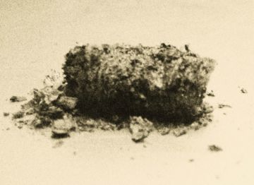 Paul KOOIKER (*1964, The Neatherlands): C14, from 'Nude Animal Cigar' – Christophe Guye Galerie