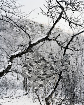 Riitta PÄIVÄLÄINEN (*1969, Finnland): Camouflage V – Christophe Guye Galerie
