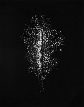 Wataru YAMAMOTO (*1986, Japan): A Chrysanth Leaf 8, from the series 'Leaf of Electric Light' – Christophe Guye Galerie