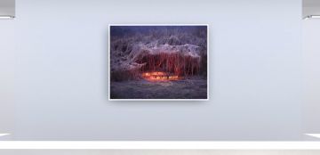   – Christophe Guye Galerie