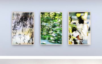   – Christophe Guye Galerie