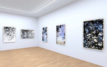   – Christophe Guye Galerie