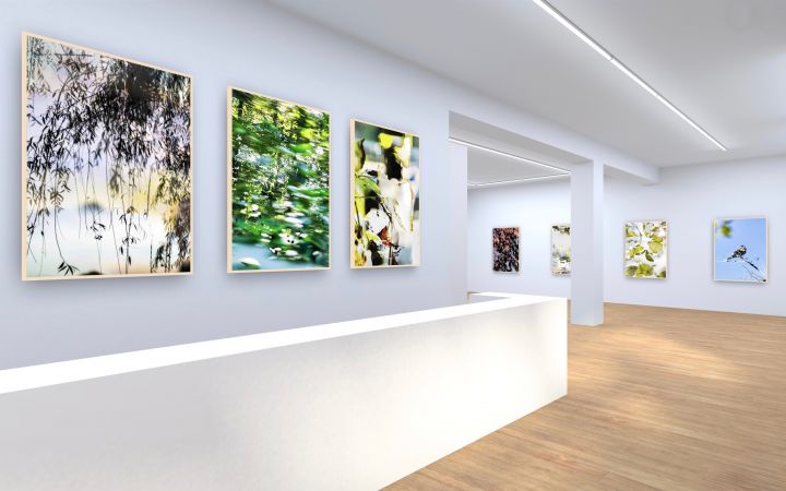 Yoshinori Mizutani – HDR_nature (online only) – Christophe Guye Galerie