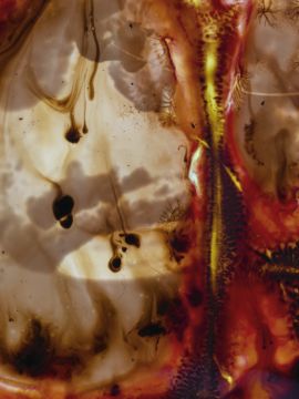 Stephen GILL (*1971, Great Britain): B52 #2, from the series 'Best Before End' – Christophe Guye Galerie