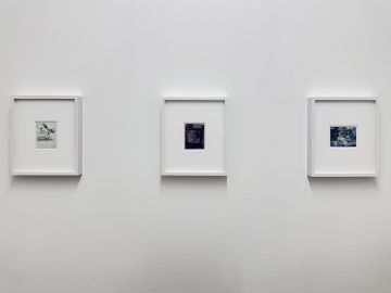  – Christophe Guye Galerie