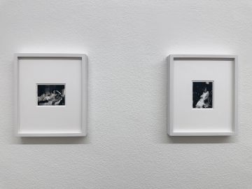   – Christophe Guye Galerie