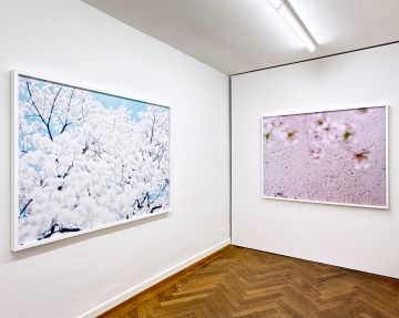   – Christophe Guye Galerie