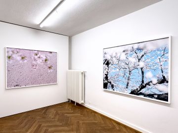   – Christophe Guye Galerie