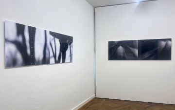   – Christophe Guye Galerie