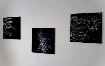   – Christophe Guye Galerie