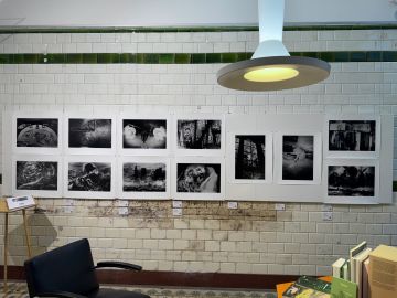   – Christophe Guye Galerie