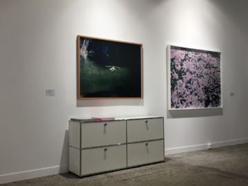  Installation Views – Paris Photo 2016 (Paris) – Christophe Guye Galerie