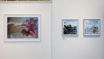   – Christophe Guye Galerie