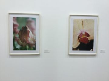   – Christophe Guye Galerie