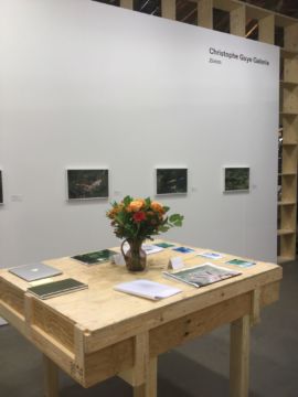   – Christophe Guye Galerie