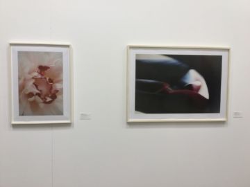   – Christophe Guye Galerie