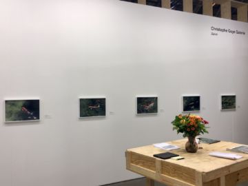   – Christophe Guye Galerie