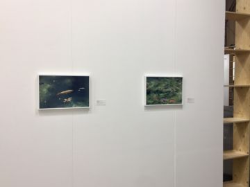   – Christophe Guye Galerie