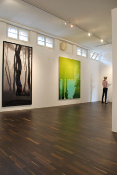  Christophe Guye Galerie – Inaugural Exhibition Artists of the Gallery 2010 – Christophe Guye Galerie