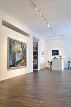  Installation Views – 3. Prix Pictet 2011 – Christophe Guye Galerie