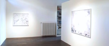  Installation Views – Risaku Suzuki Yuki Sakural 2011 – Christophe Guye Galerie