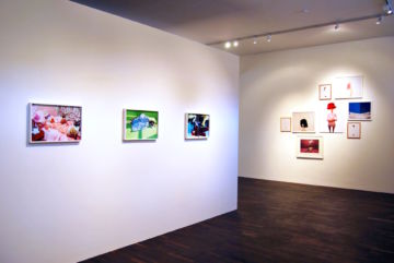  Installation Views – Icons of Tomorrow. Contemporary Fashion Photography 2012 – Christophe Guye Galerie