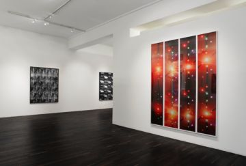  Installation Views – James Nizam Breaking Light 2013 – Christophe Guye Galerie