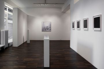  Installation Views – Esther Mathis We Could Have Been Anywhere 2013 – Christophe Guye Galerie