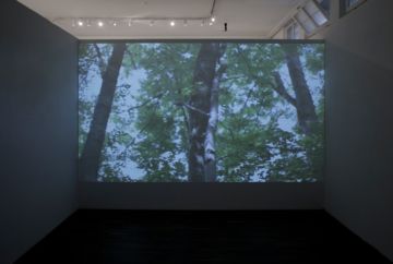  Installation Views – Esther Mathis We Could Have Been Anywhere 2013 – Christophe Guye Galerie