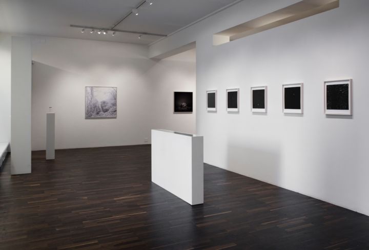 We Could Have Been Anywhere – Christophe Guye Galerie